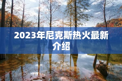 2023年尼克斯热火最新介绍 2023年尼克斯热火最新介绍