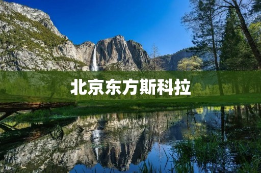 北京东方斯科拉:为中国社会提供高品质的教育服务 北京东方斯科拉:为中国社会提供高品质的教育服务