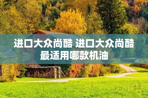 进口大众尚酷 进口大众尚酷最适用哪款机油
