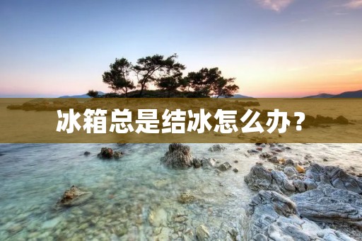 冰箱总是结冰怎么办？