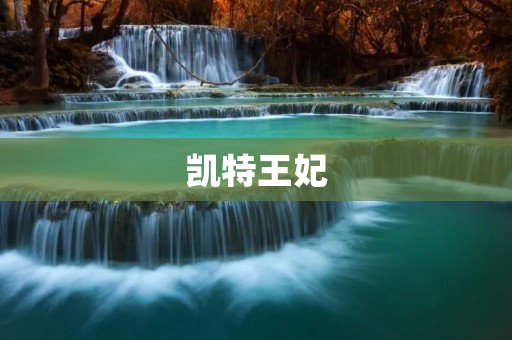 凯特王妃：英国皇室的代表性人物
