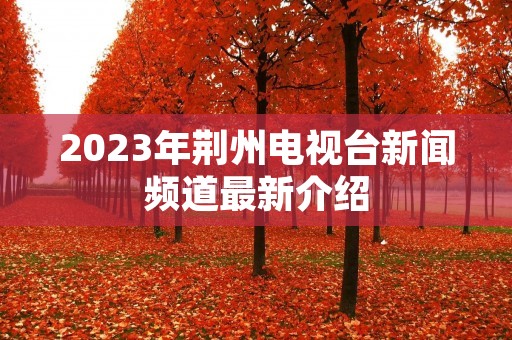 2023年荆州电视台新闻频道最新介绍