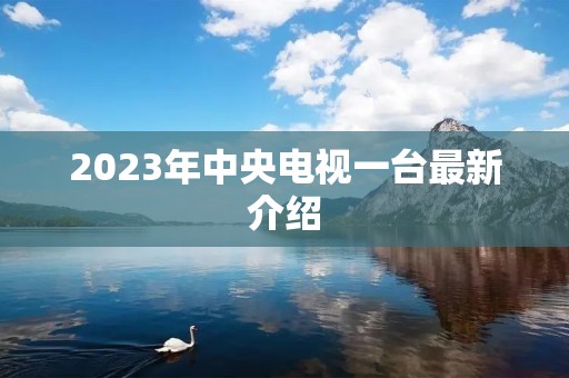 2023年中央电视一台最新介绍