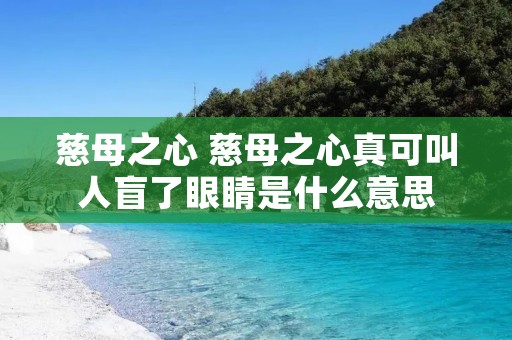 慈母之心 慈母之心真可叫人盲了眼睛是什么意思