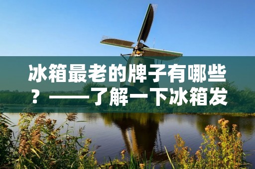 冰箱最老的牌子有哪些?——了解一下冰箱发展史 冰箱最老的牌子有哪些?——了解一下冰箱发展史