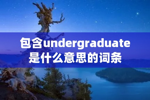 包含undergraduate是什么意思的词条