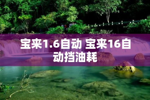 宝来1.6自动 宝来16自动挡油耗 宝来1.6自动 宝来16自动挡油耗