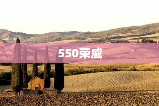 550荣威:豪华座驾的新选择 550荣威:豪华座驾的新选择