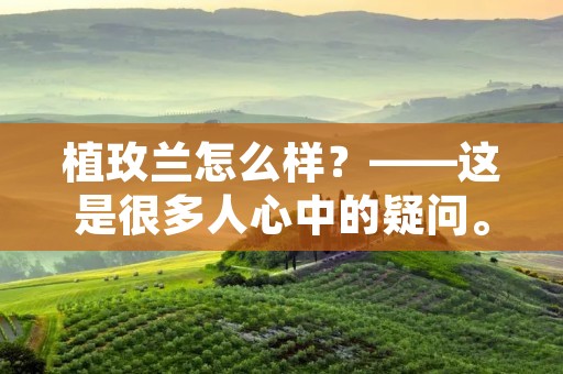 植玫兰怎么样？——这是很多人心中的疑问。植玫兰，又叫做玫瑰石竹，是一种十分美丽的植物。它的花朵色彩鲜艳，花期长久，是很多花友喜爱的植物之一。那么，接下来就让我们一起来了解一下植玫兰的特点、栽培方法以及常见问题吧。