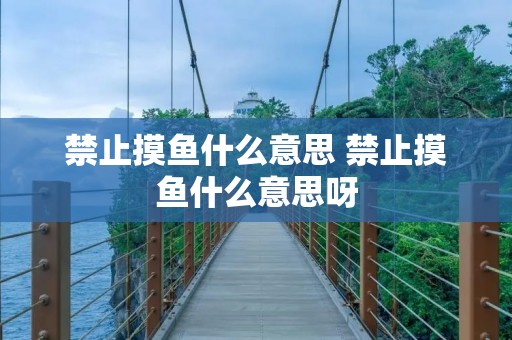 禁止摸鱼什么意思 禁止摸鱼什么意思呀