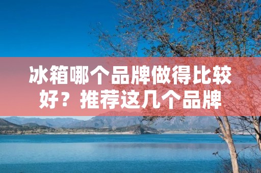 冰箱哪个品牌做得比较好？推荐这几个品牌