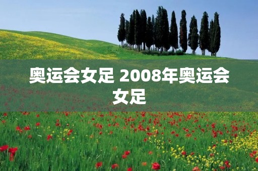 奥运会女足 2008年奥运会女足
