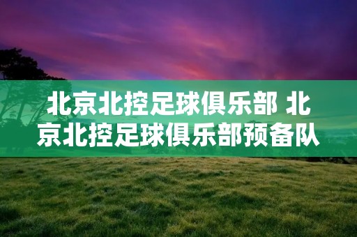 北京北控足球俱乐部 北京北控足球俱乐部预备队比赛