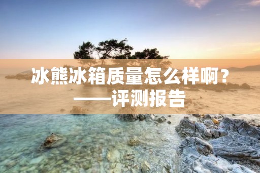 冰熊冰箱质量怎么样啊?——评测报告 冰熊冰箱质量怎么样啊?——评测报告