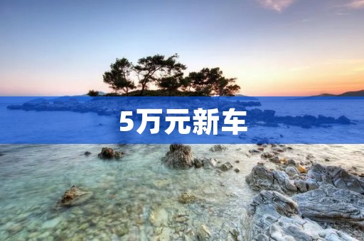 5万元新车:如何选择性价比最高的车型? 5万元新车:如何选择性价比最高的车型?