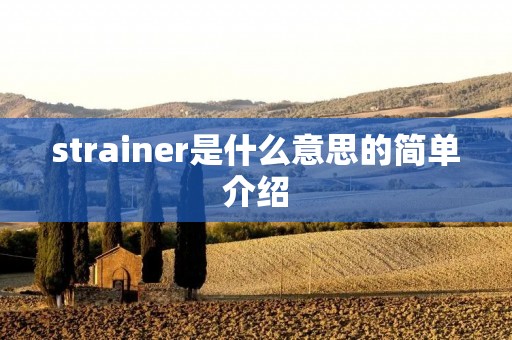 strainer是什么意思的简单介绍