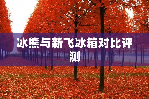 冰熊与新飞冰箱对比评测 冰熊与新飞冰箱对比评测