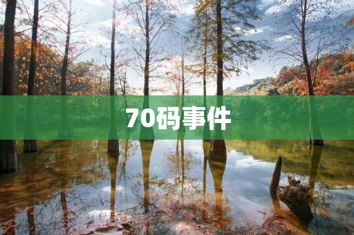 70码事件：让人们重新认识生命的价值