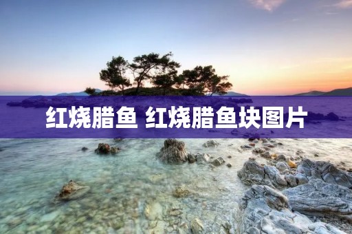 红烧腊鱼 红烧腊鱼块图片 红烧腊鱼 红烧腊鱼块图片