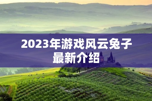 2023年游戏风云兔子最新介绍