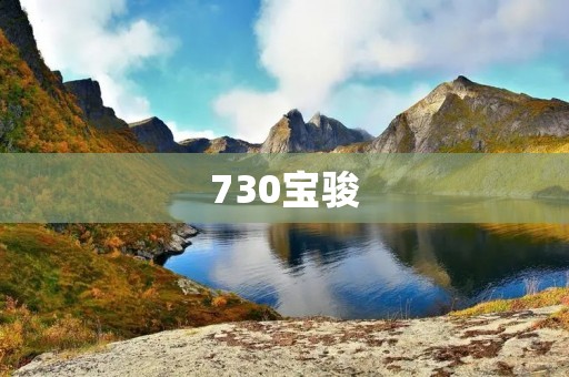 730宝骏：实用性与舒适性的完美结合