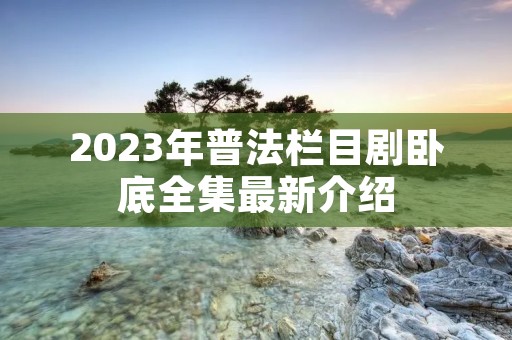 2023年普法栏目剧卧底全集最新介绍