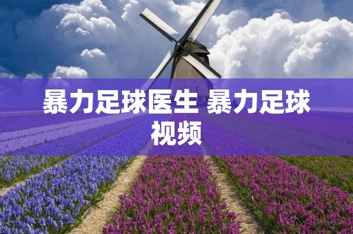 暴力足球医生 暴力足球视频