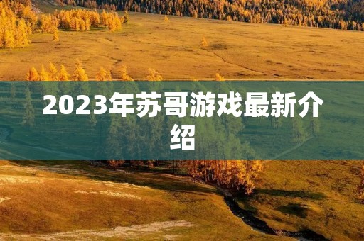 2023年苏哥游戏最新介绍