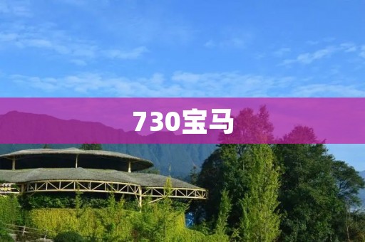 730宝马:驾驶乐趣与豪华并存 730宝马:驾驶乐趣与豪华并存