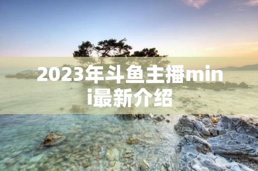 2023年斗鱼主播mini最新介绍
