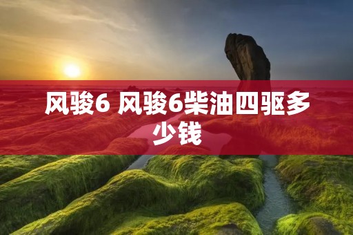 风骏6 风骏6柴油四驱多少钱 风骏6 风骏6柴油四驱多少钱