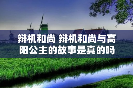 辩机和尚 辩机和尚与高阳公主的故事是真的吗