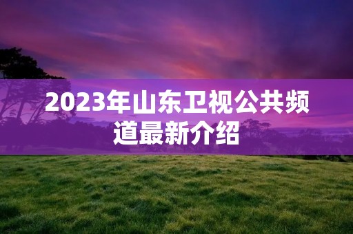 2023年山东卫视公共频道最新介绍