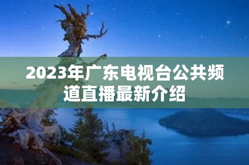 2023年广东电视台公共频道直播最新介绍