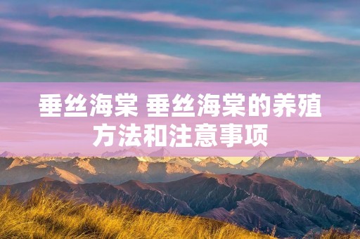 垂丝海棠 垂丝海棠的养殖方法和注意事项