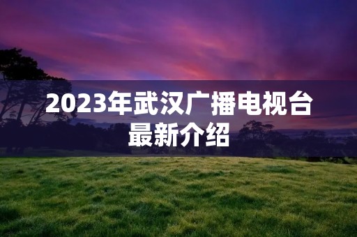 2023年武汉广播电视台最新介绍