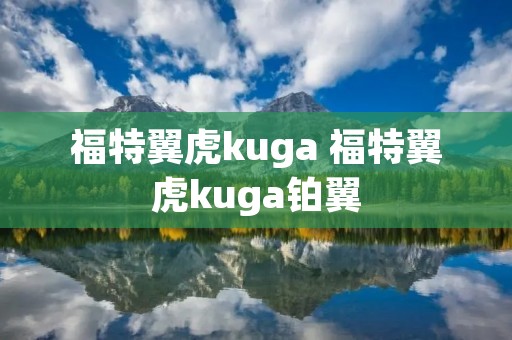 福特翼虎kuga 福特翼虎kuga铂翼