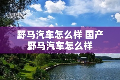 野马汽车怎么样 国产野马汽车怎么样