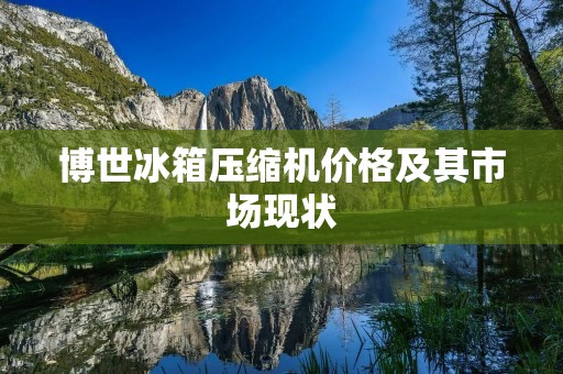 博世冰箱压缩机价格及其市场现状