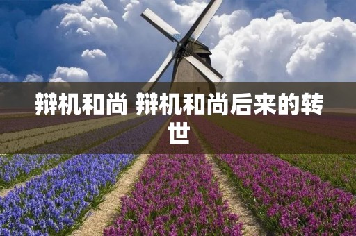 辩机和尚 辩机和尚后来的转世