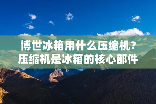 博世冰箱用什么压缩机?压缩机是冰箱的核心部件,它的作用是将制冷剂压缩成高温高压气体,然后通过冷凝器散热,使制冷剂变成液态,最后通过蒸发器吸热,实现冷藏和冷冻的效果。那么,博世冰箱用什么压缩机呢? 博世冰箱用什么压缩机?压缩机是冰箱的核心部件,它的作用是将制冷剂压缩成高温高压气体,然后通过冷凝器散热,使制冷剂变成液态,最后通过蒸发器吸热,实现冷藏和冷冻的效果。那么,博世冰箱用什么压缩机呢?