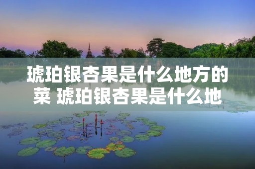 琥珀银杏果是什么地方的菜 琥珀银杏果是什么地方的菜啊 琥珀银杏果是什么地方的菜 琥珀银杏果是什么地方的菜啊