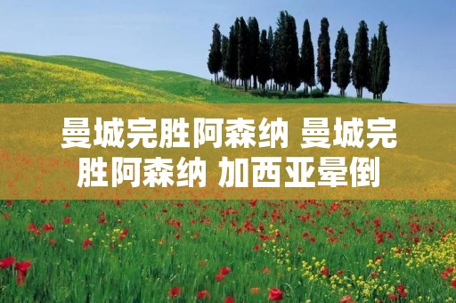 曼城完胜阿森纳 曼城完胜阿森纳 加西亚晕倒
