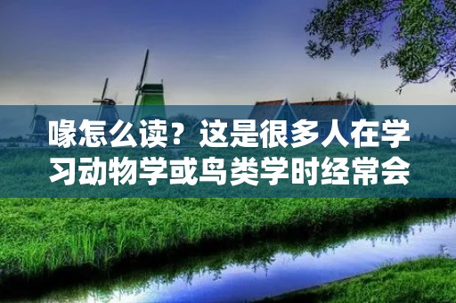喙怎么读？这是很多人在学习动物学或鸟类学时经常会遇到的问题。喙是鸟类的一种特殊器官，用于摄食、捕捉猎物、打斗、交配等多种功能。在不同种类的鸟类中，喙的大小、形态和功能都有所不同。那么，喙怎么读？下面就来为大家详细介绍一下。