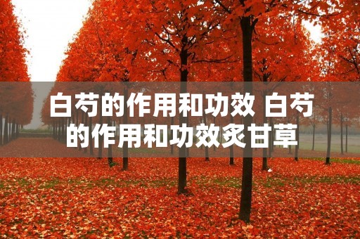 白芍的作用和功效 白芍的作用和功效炙甘草
