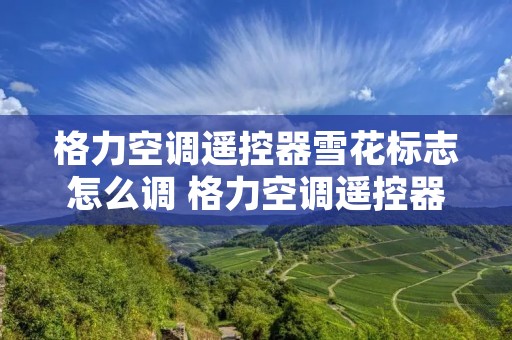 格力空调遥控器雪花标志怎么调 格力空调遥控器雪花标志是什么
