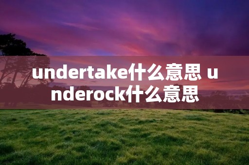 undertake什么意思 underock什么意思