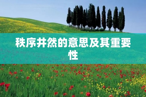 秩序井然的意思及其重要性