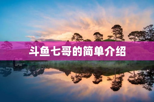 斗鱼七哥的简单介绍