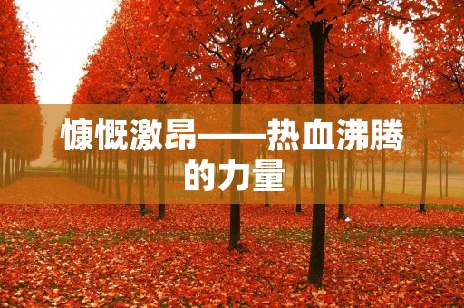 慷慨激昂——热血沸腾的力量 慷慨激昂——热血沸腾的力量